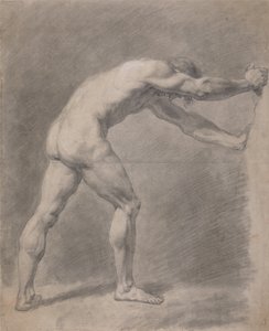 Mies alaston